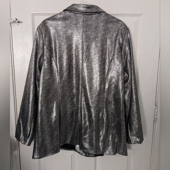 Silver Jacket - Picture 3 of 5